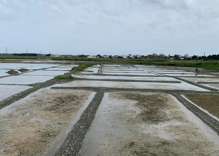 La Fleur Des Marais Бат-сюр-Мер