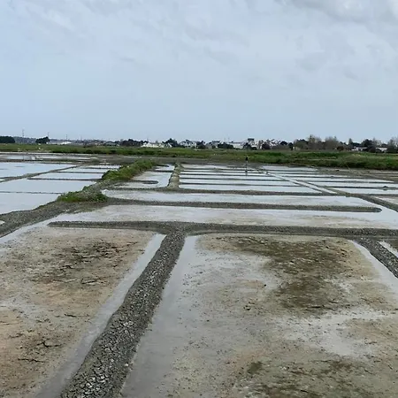 La Fleur Des Marais Batz-sur-Mer