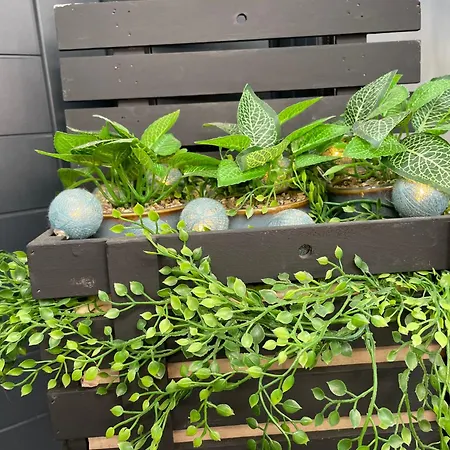 Bed and Breakfast La Fleur Des Marais Batz-sur-Mer