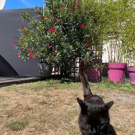 Alojamento de Acomodação e Pequeno-almoço La Fleur Des Marais Batz-sur-Mer