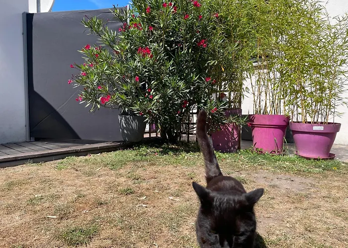 Alojamento de Acomodação e Pequeno-almoço La Fleur Des Marais Batz-sur-Mer